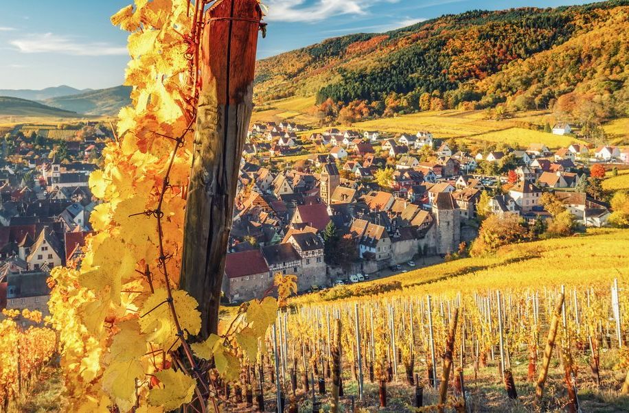 Autumn vine leaves framing a wine village and vineyard slopes in Alsace, a region for barge cruises in Alsace-Lorraine