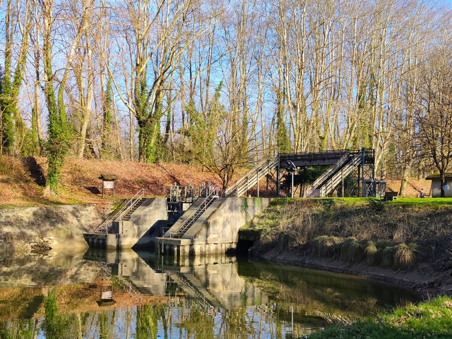 Small canal lock among trees